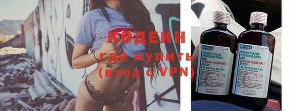 прущие грибы Михайловск