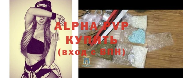 прущие грибы Михайловск